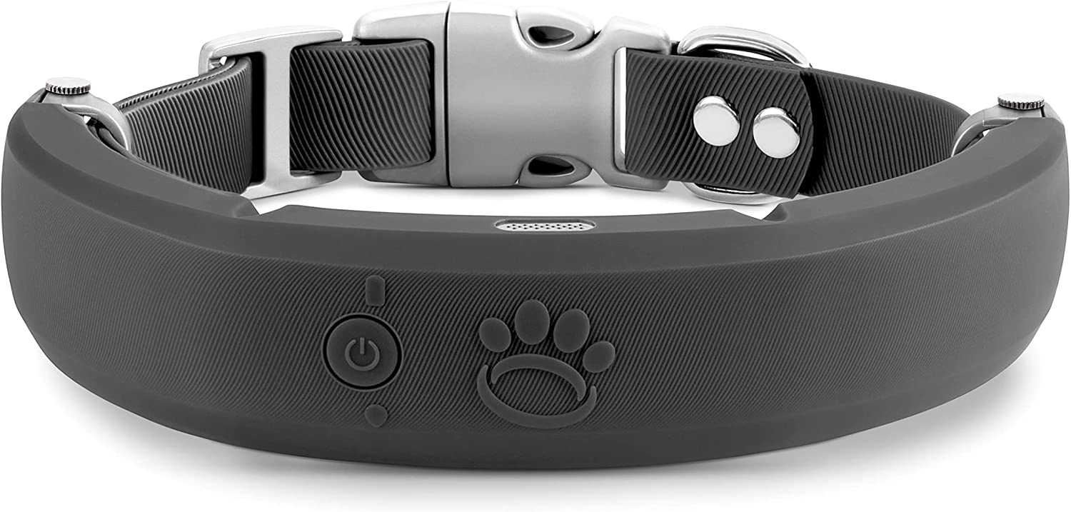 Halo Dog Smart Collar 1