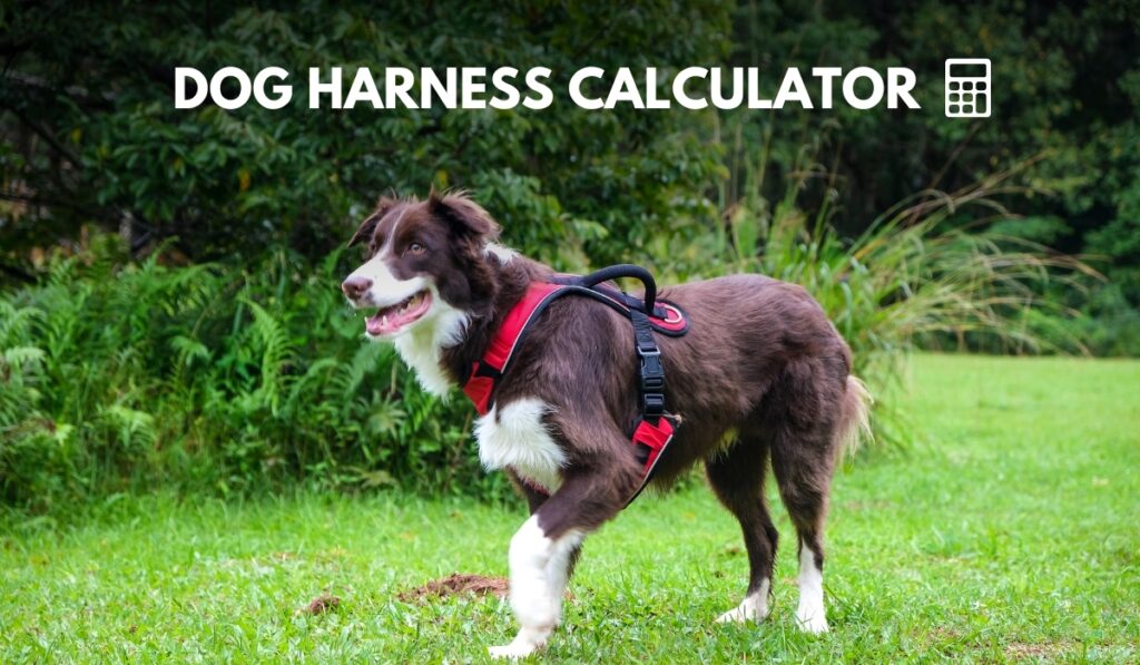 dog harness calculator