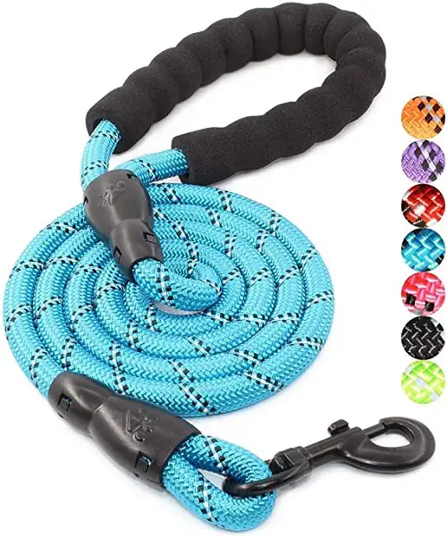 1734338715 85 BAAPET Strong Dog Leash REVIEW