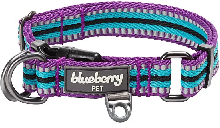 1735101616 793 Blueberry Pet 3M Multi Colored Dog Collar review