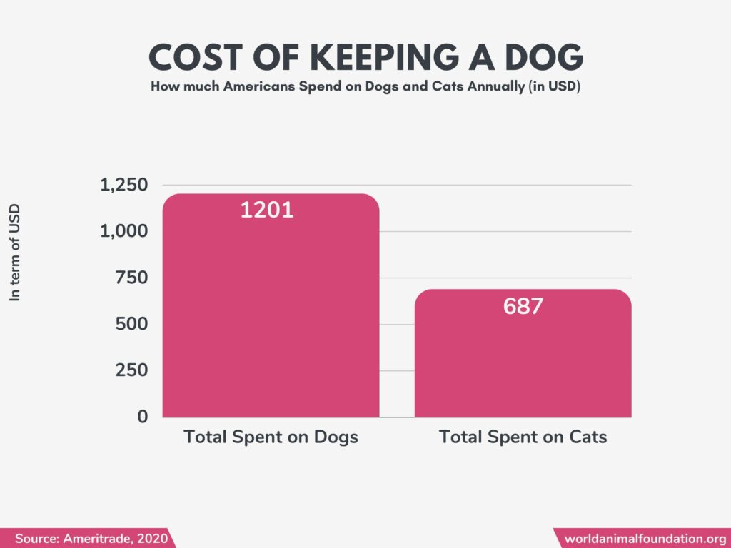 statistiche del cane