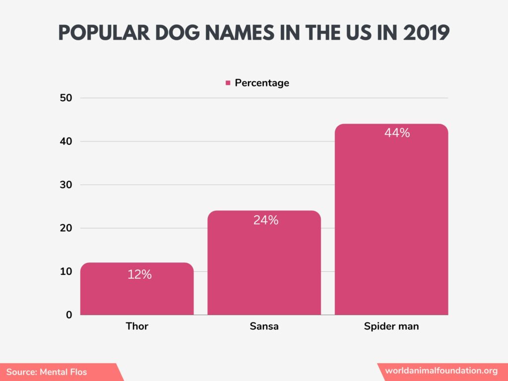 cani negli Stati Uniti