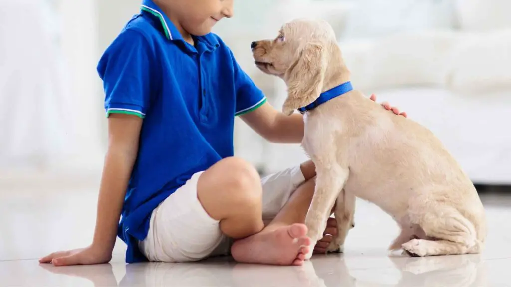 Best Small Playful Dog Breeds for Kids