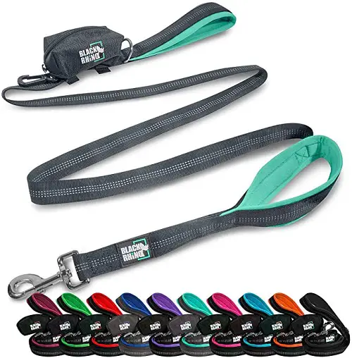 Black Rhino Dog Leash REVIEW