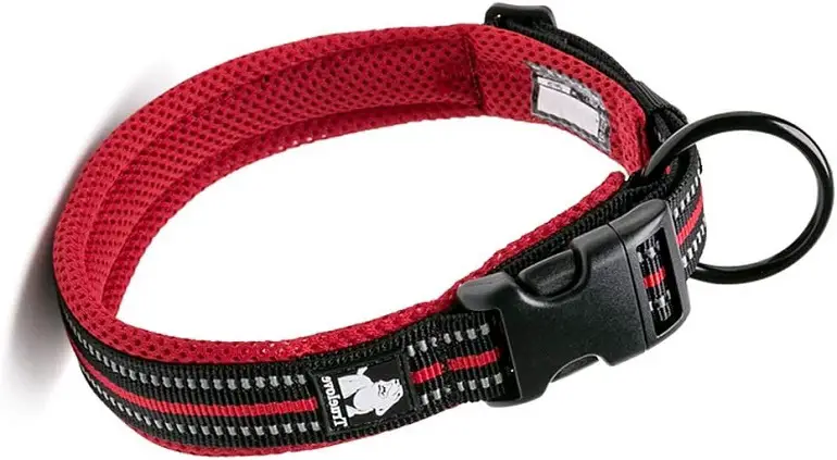 Chais Choice Premium Reflective Dog Collar review 2