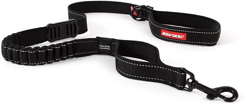 EzyDog ZERO SHOCK Leash REVIEW