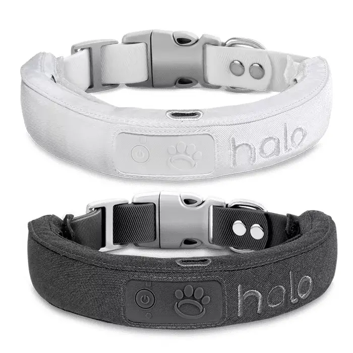 Halo 2 Collar Review 1