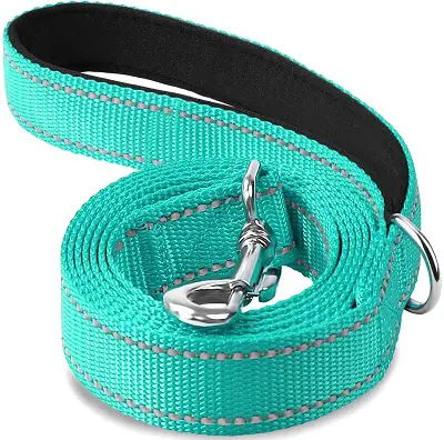 Joytale Reflective Dog Leash REVIEW