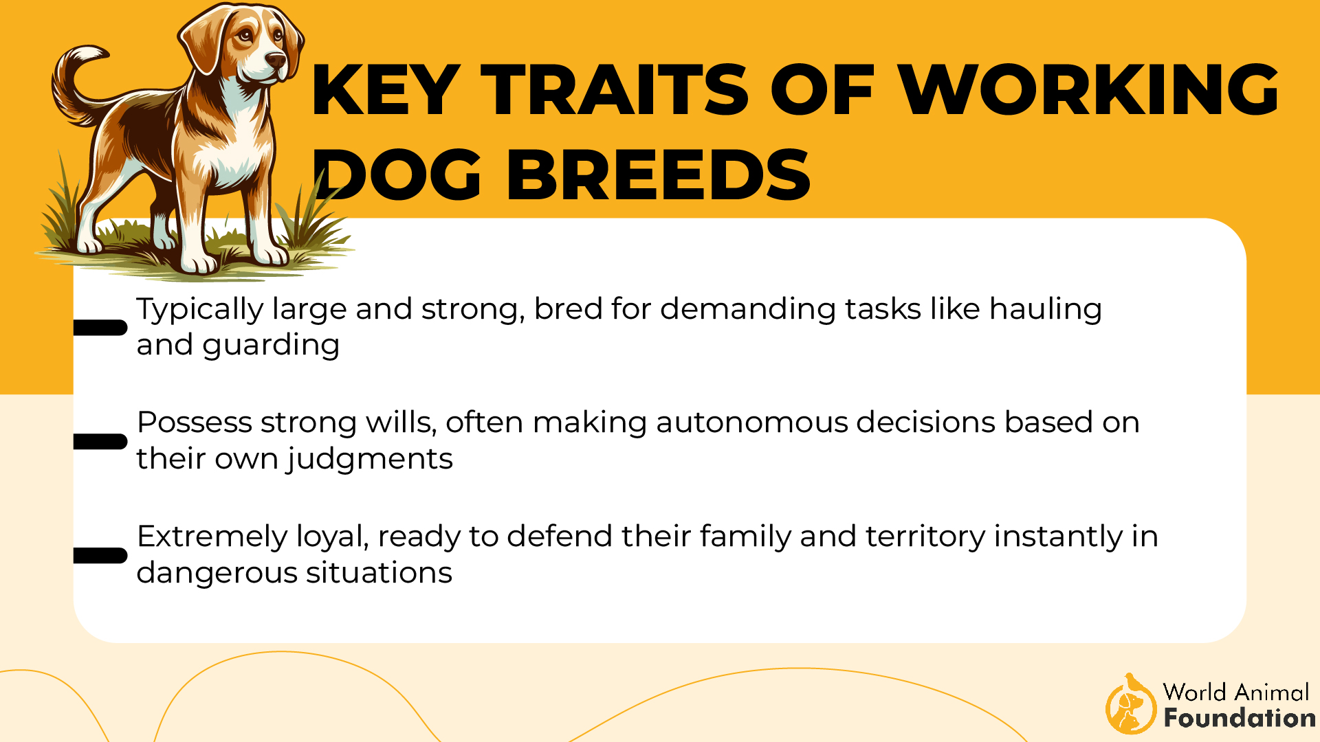 Caratteristiche principali delle razze di cani da lavoro-01