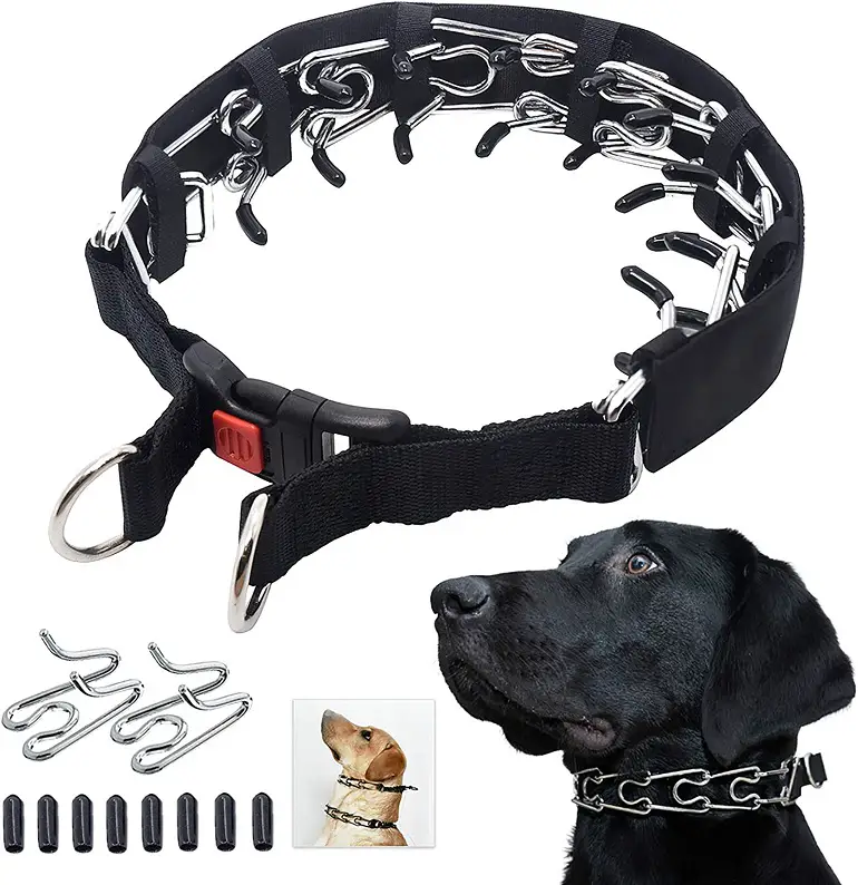 Mayerzon Prong Dog Collar Review 2