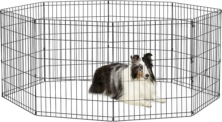 New World Dog Exercise Pen Playpen review