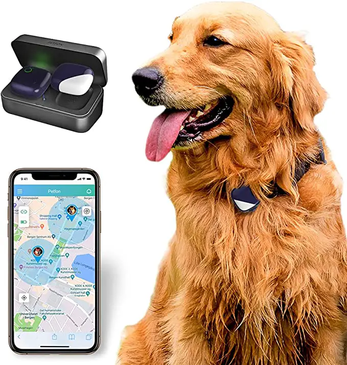 gps per cani di piccola taglia