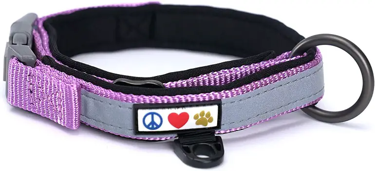 Pawtitas Lumberjack Padded Martingale Collar for Dogs review