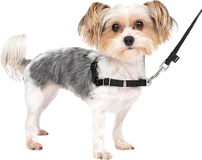 PetSafe Easy Walk Dog Harness review 1