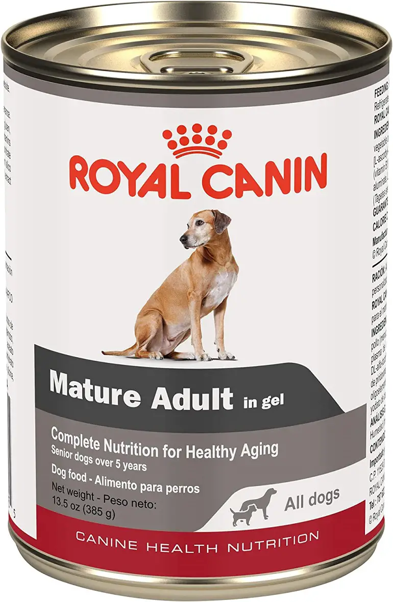 Royal Canin Canine Mature Adult in Gel Canned Dog Food review