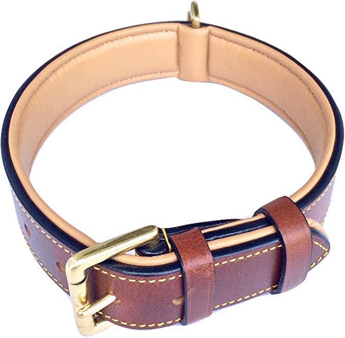 Soft Touch Collars Luxury Real Leather Padded Dog Collar Review 1