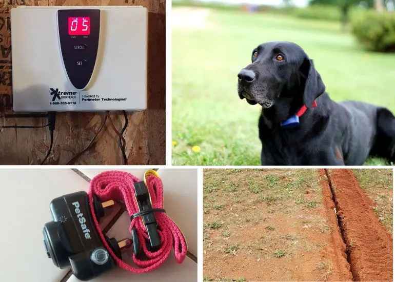 come installare un recinto elettrico per cani