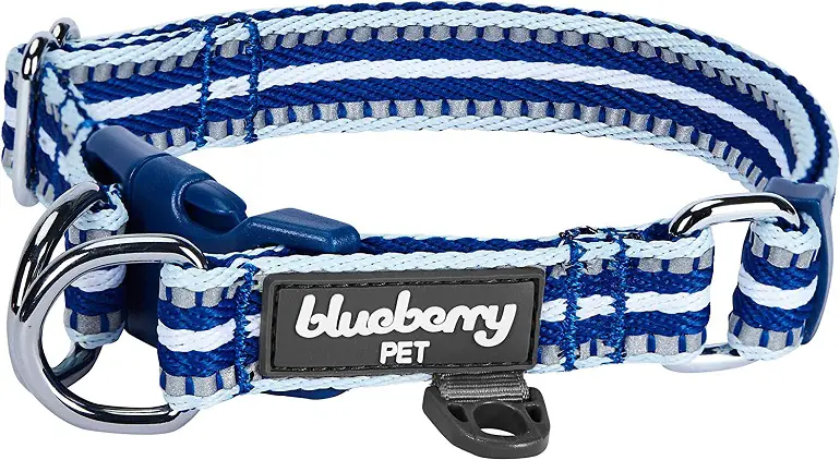 bluberry dog collar review 1